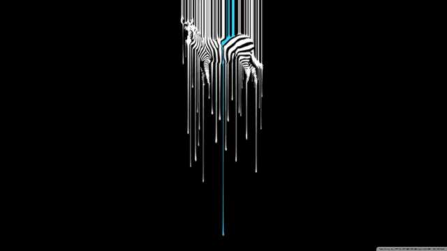 Zebra black background blue line free wallpaper - medium preview image