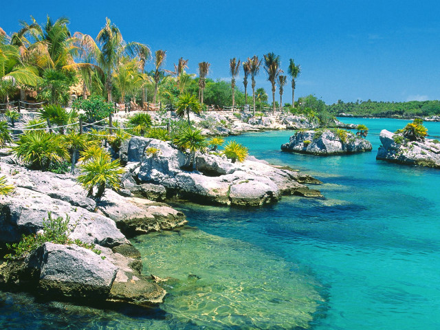 Blue lagoon palm trees rocks free wallpaper - medium preview image