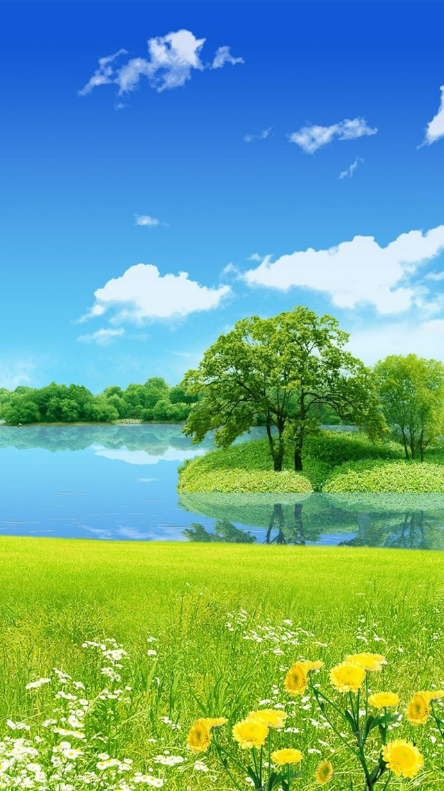 Green field flowers lake blue free wallpaper - medium preview image