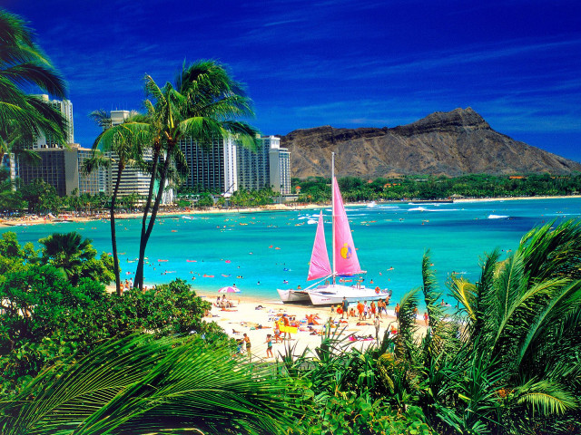 Sailboat beach palm trees buildings free wallpaper - medium preview image