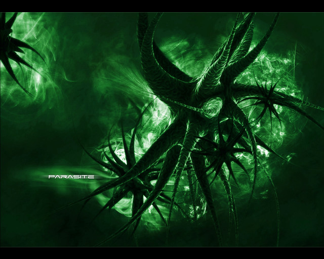 Green black background tree branch free wallpaper - medium preview image