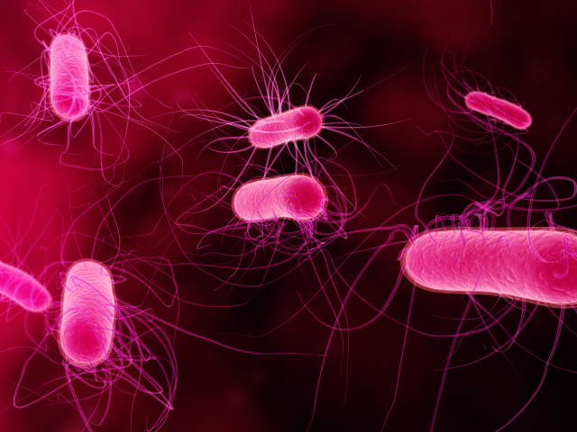 Red blood cells vein group free wallpaper - medium preview image