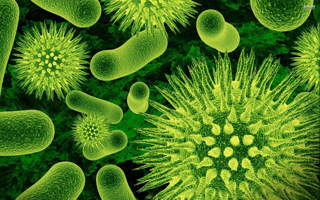 Green cell nested cell inside free wallpaper - medium preview image