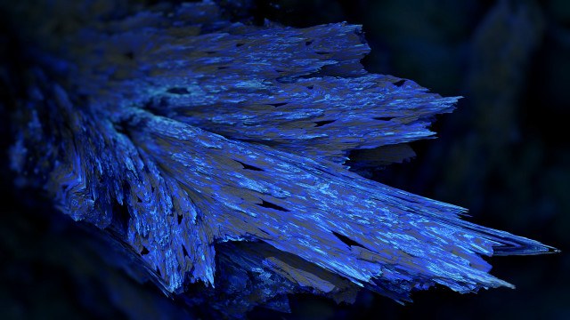 Blue flower black background blue #2 free wallpaper - medium preview image