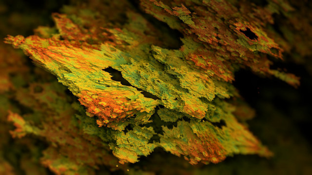 Tree yellow green leaves black free wallpaper - medium preview image