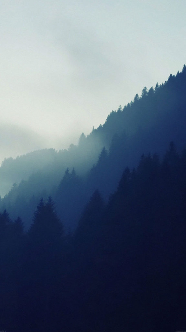 Plane flying mountain trees fog free wallpaper - medium preview image