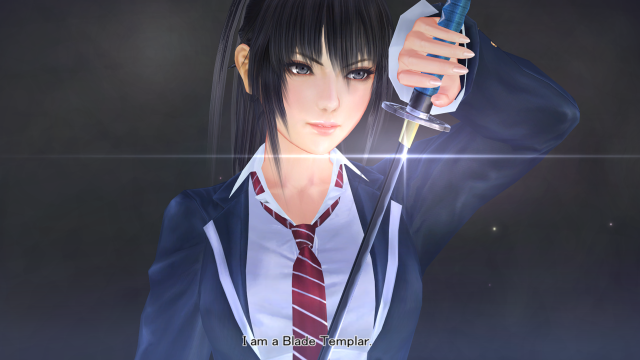 Woman suit sword wine glass free wallpaper - medium preview image