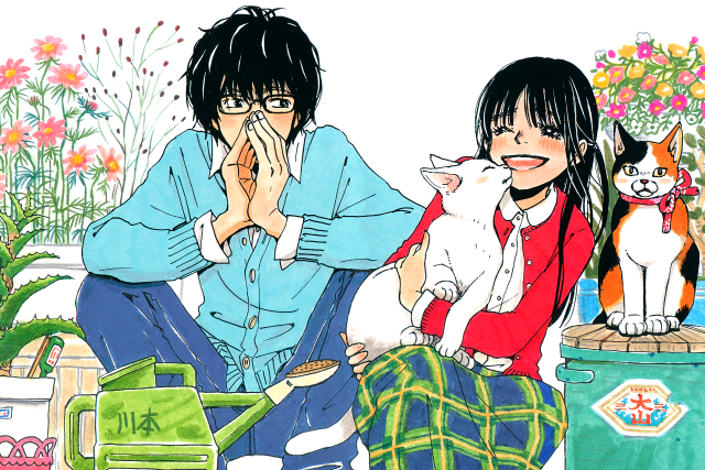 Couple people sitting cat lap free wallpaper - medium preview image