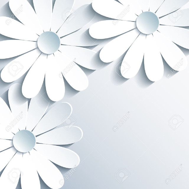 White paper flower background minimalism free wallpaper - medium preview image