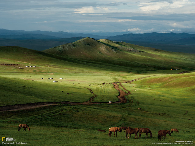 Horses grazing green field mountains free wallpaper - medium preview image