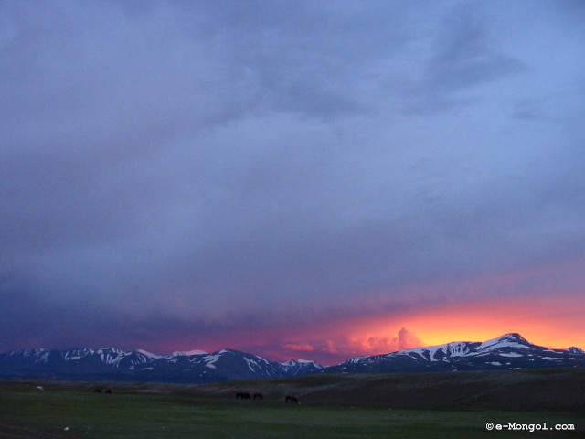Sunset horses grazing field mountains free wallpaper - medium preview image