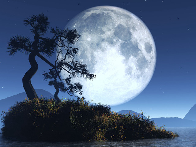Full moon island ocean tree free wallpaper - medium preview image
