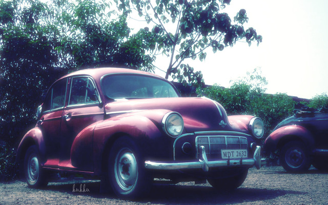 Red car bush tree grass free wallpaper - medium preview image