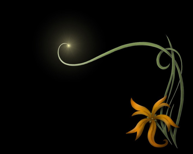 Flower long stem light background free wallpaper - medium preview image