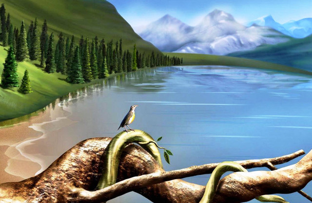 Lizard branch lake mountains bird free wallpaper - medium preview image