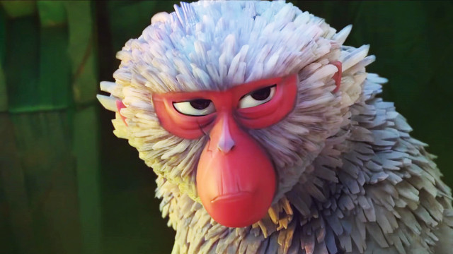 Monkey red nose white hair free wallpaper - medium preview image