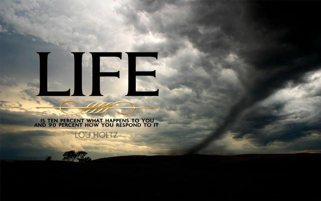 Storm quote tree cloudy sunset free wallpaper - medium preview image