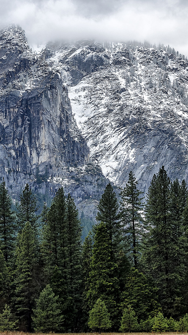 Mountain forest trees cloudy sky free wallpaper - medium preview image