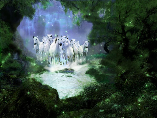 White horses running forest trees free wallpaper - medium preview image