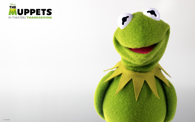 Stuffed animal big eyes smile free wallpaper - medium preview image