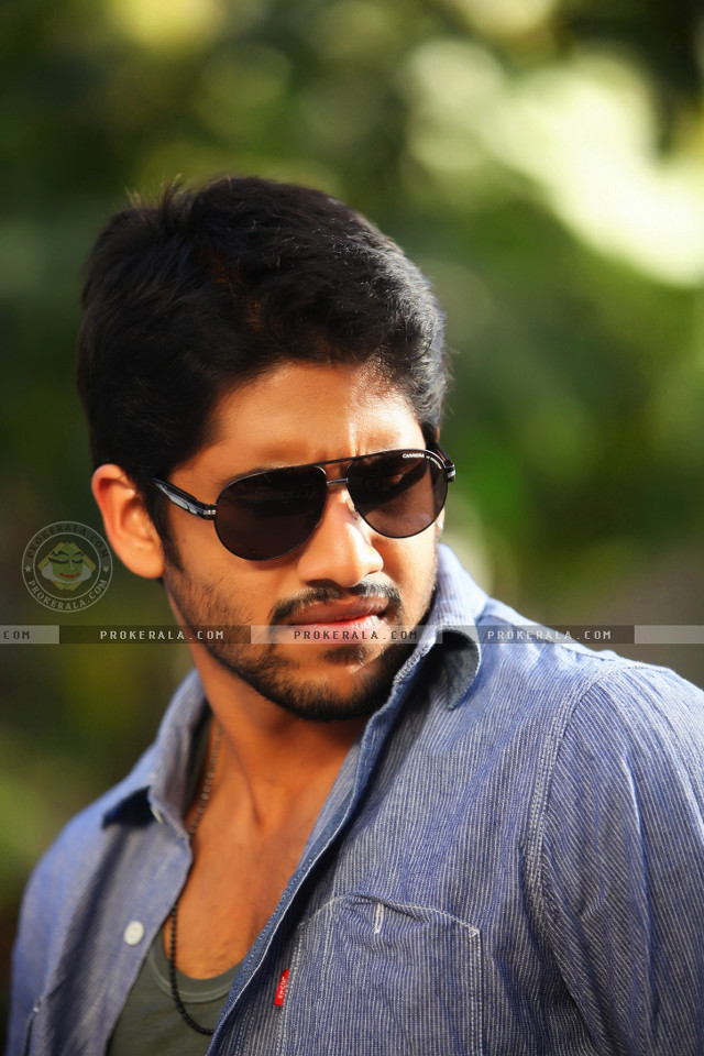 Man sunglasses blue shirt looking free wallpaper - medium preview image
