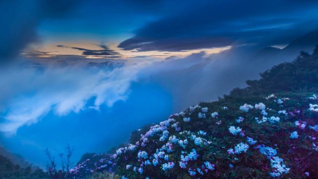 Mountain flowers cloudy sky clouds #2 free wallpaper - medium preview image