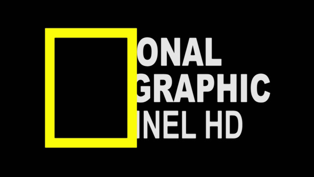 Black yellow logo national graphic free wallpaper - medium preview image