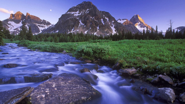 Mountain stream green field forest #2 free wallpaper - medium preview image