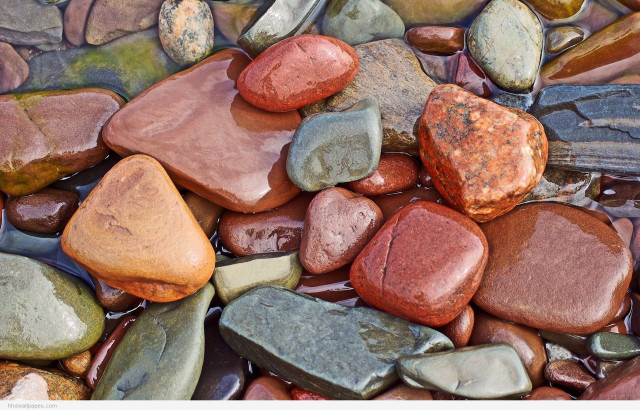 Pile rocks riverbed forest bushes free wallpaper - medium preview image