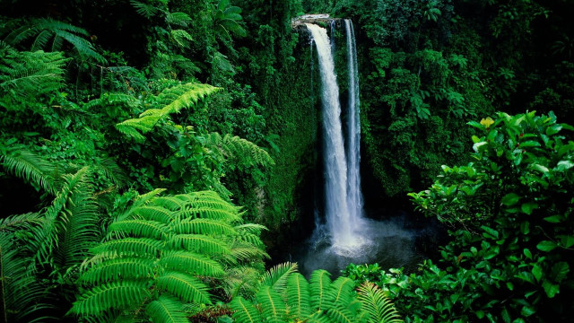 Waterfall green foliage jungle nature free wallpaper - medium preview image