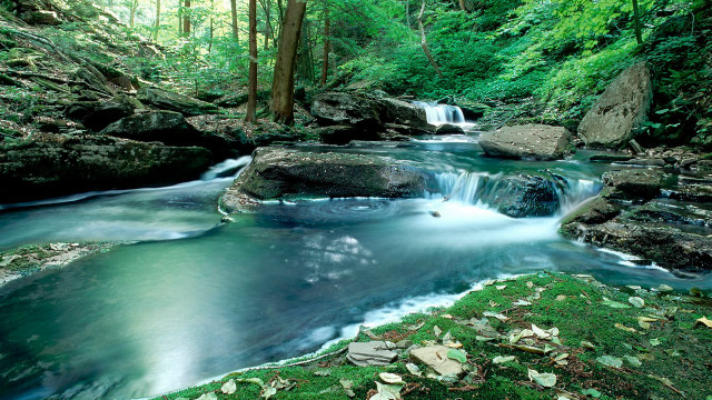 Lush forest waterfall river nature #2 free wallpaper - medium preview image