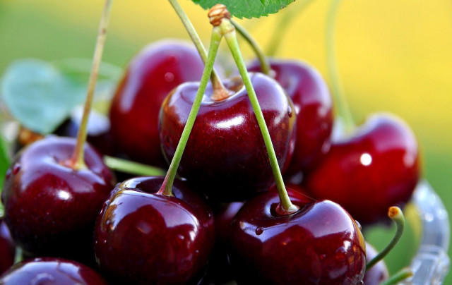 Cherries glass bowl table leaves free wallpaper - medium preview image