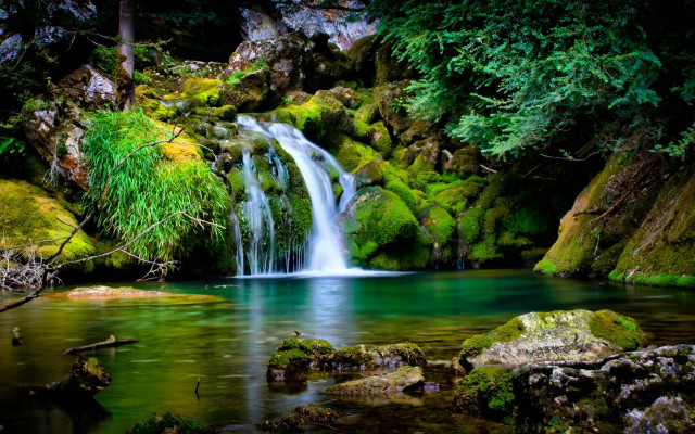Waterfall forest green mossy rocks #2 free wallpaper - medium preview image