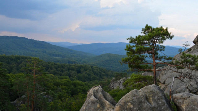 Lone tree rocky outcropping mountains free wallpaper - medium preview image