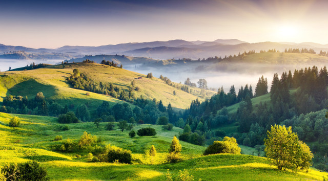 Green valley trees mountains sunlight free wallpaper - medium preview image