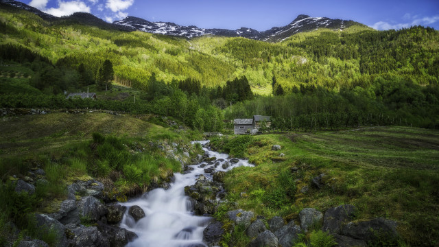 Lush stream hillside trees rocks free wallpaper - medium preview image