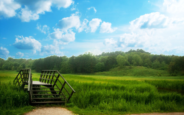 Wooden bench field forest path free wallpaper - medium preview image