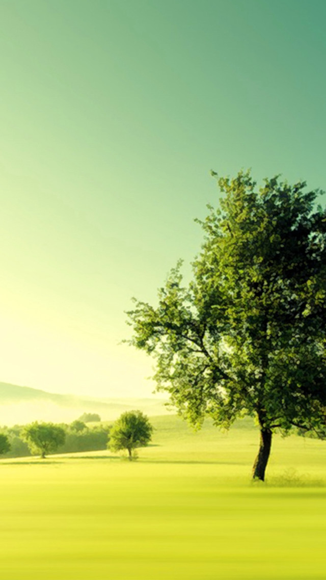 Tree green field blue sky free wallpaper - medium preview image