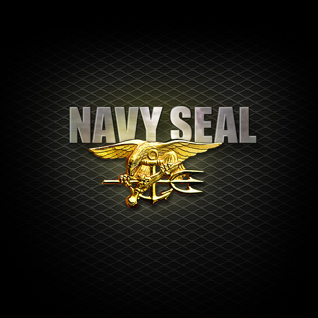 Navy seal logo gold eagle free wallpaper - medium preview image
