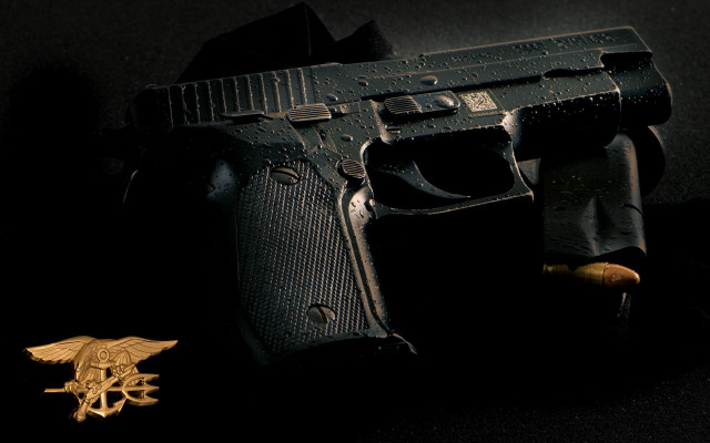 Toy gun gold eagle pin free wallpaper - medium preview image