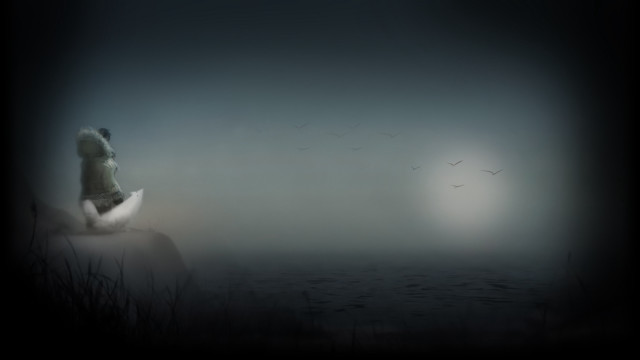 Woman sitting rock water birds free wallpaper - medium preview image