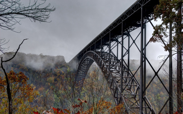 Bridge hill trees foreground fog free wallpaper for desktop - medium preview image