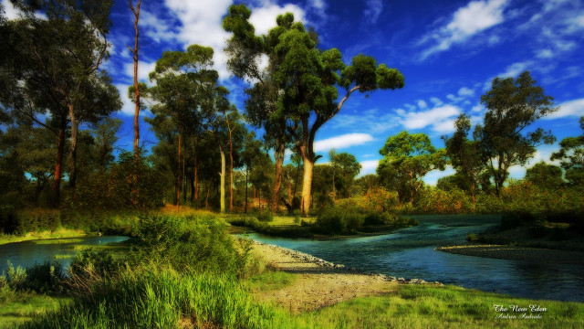 River lush forest trees grass #5 free wallpaper - medium preview image
