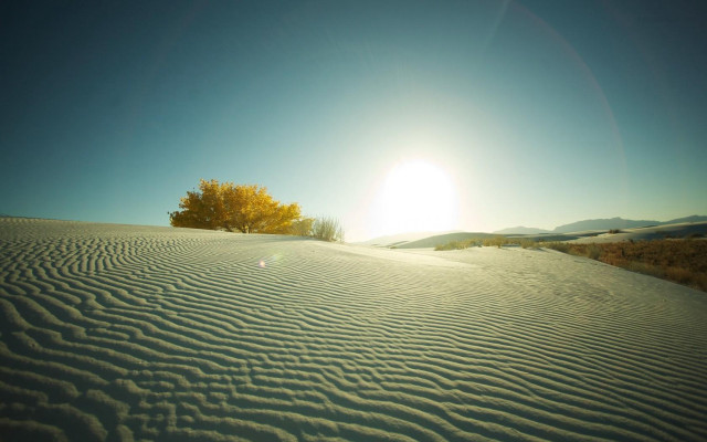 Snowy hill tree sun clouds free wallpaper - medium preview image