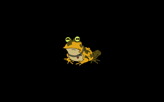 Frog big eyes black background free wallpaper - medium preview image