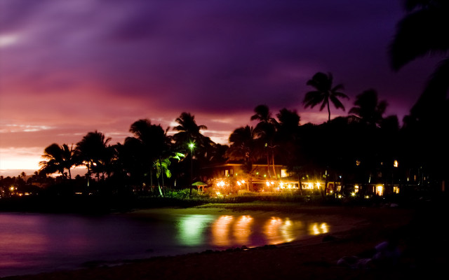 Beach palm tree purple sky free wallpaper - medium preview image