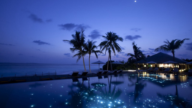 Pool lights palm trees night #2 free wallpaper - medium preview image
