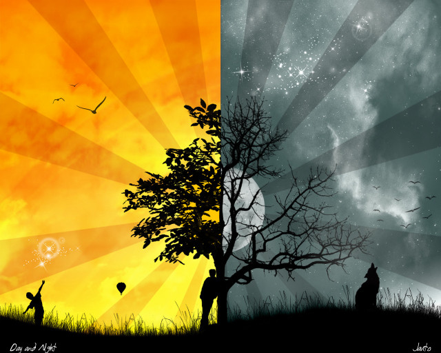 Couple tree field cloudy sky free wallpaper - medium preview image