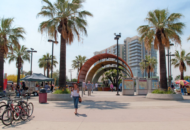 Woman walking park palm trees free wallpaper - medium preview image
