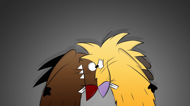 Birds couple gray black background free wallpaper - medium preview image
